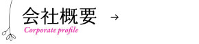 ЊTv